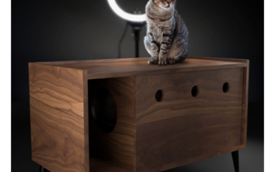 Elige el mueble perfecto para el arenero de tu gato: Consejos imprescindibles