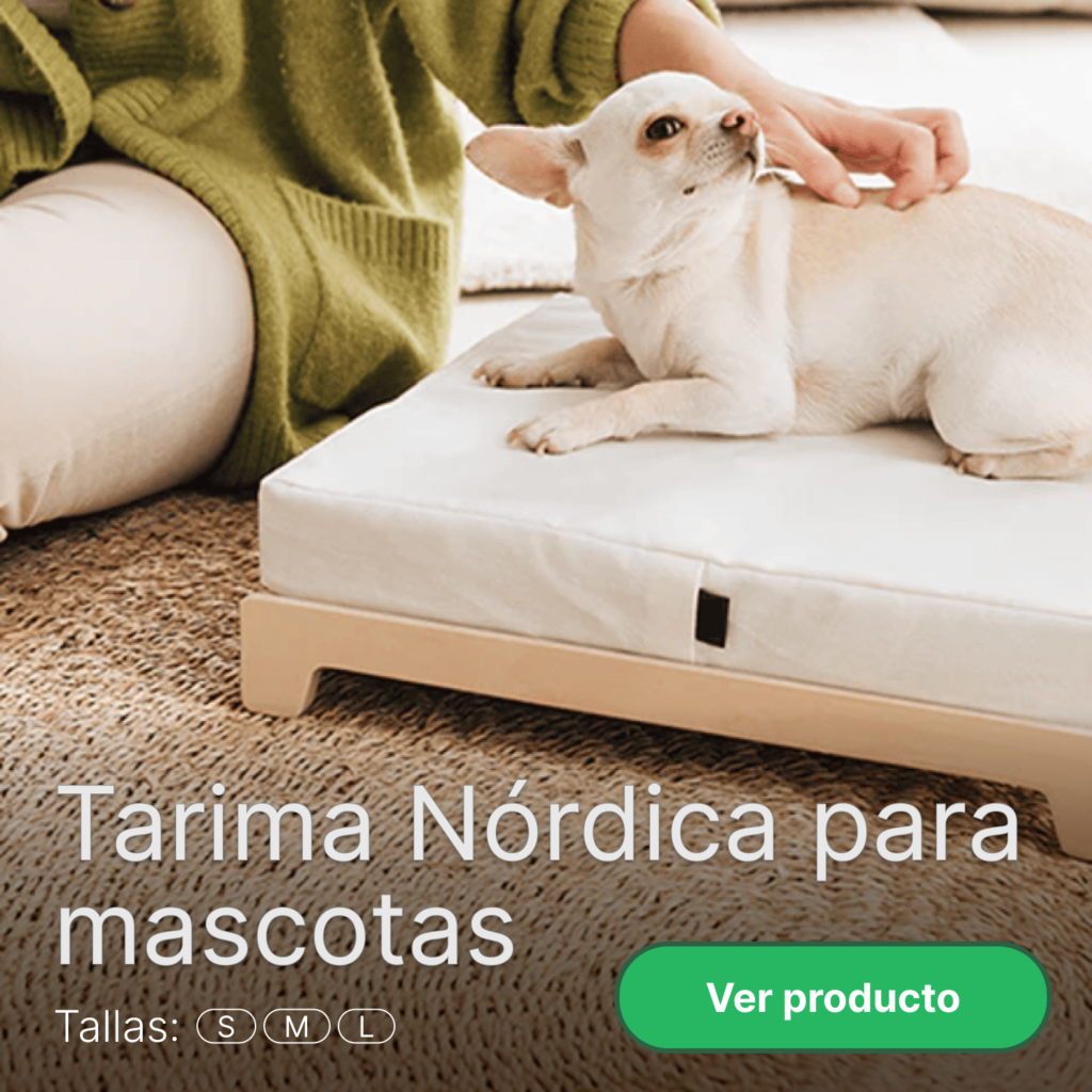 Perro pequeño descansando en una cama elegante y baja para mascotas Tarima Nórdica disponible en tallas S y M