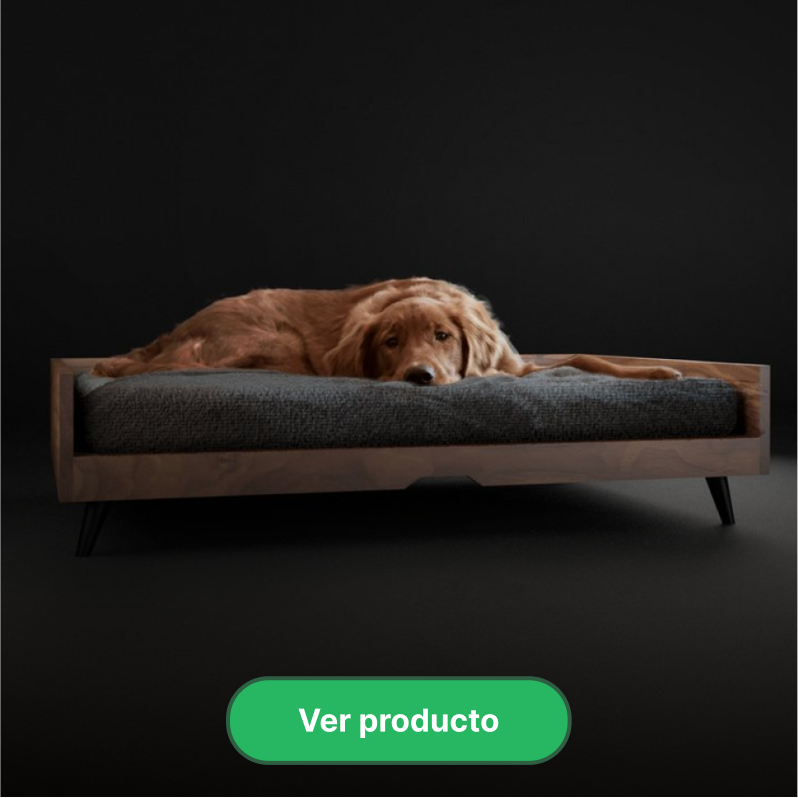 Perro descansando en una cama elevada de petit garden