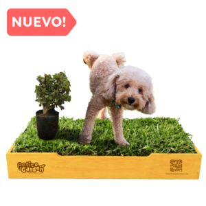 Sanitario de Pasto Natural Talla M - Base de madera + Plantita + Repuesto -