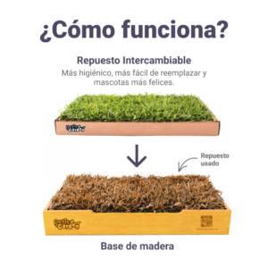 Como funcionan los sanitarios de pasto natural con repuestos intercambianles?