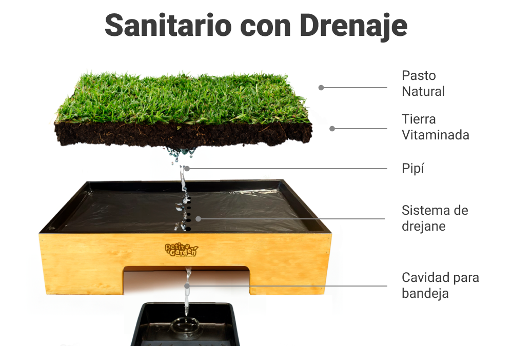 Cómo Funciona un Sanitario de Pasto Natural con Drenaje para Perritos