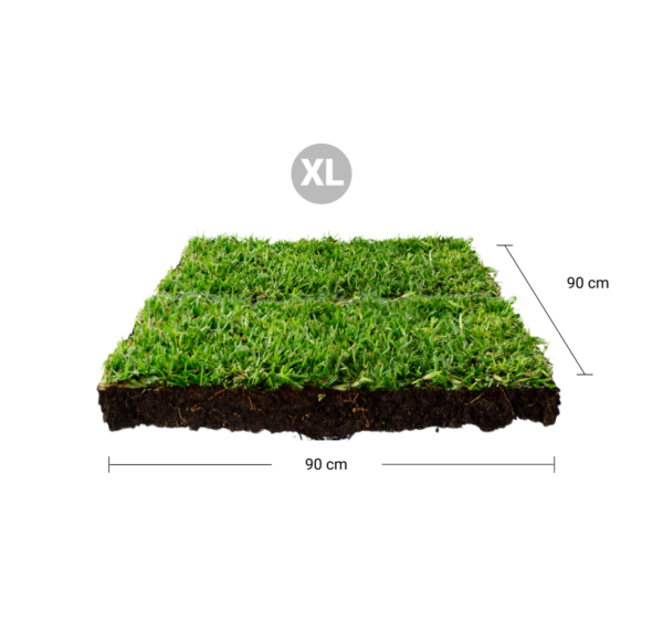 Repuesto de pasto para sanitarios naturales