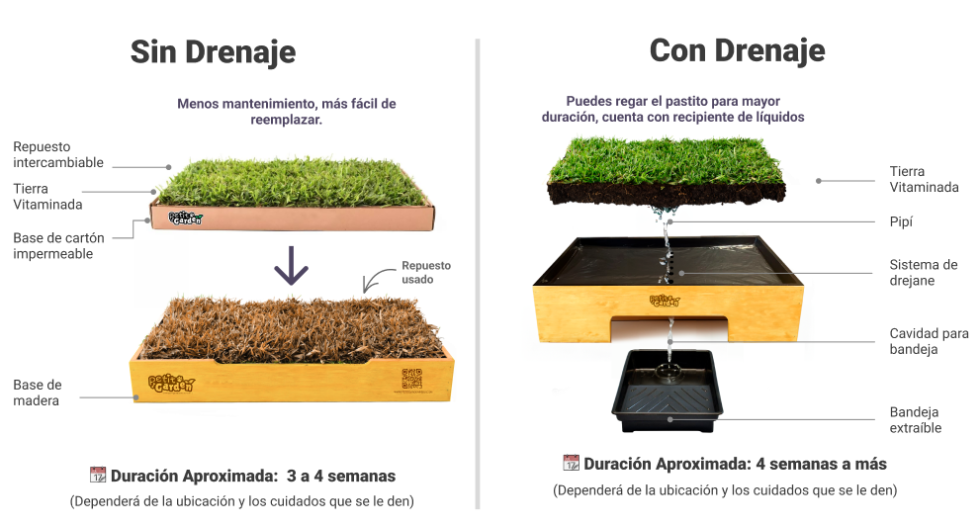 Diferenciacu L Es La Diferencia Entre Un Sanitario De Pasto Natural Con Drenaje Y Uno De